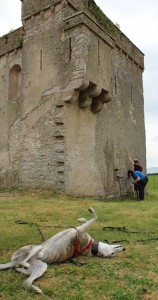 Recording bullet holes in the wall. In the meantime, the 'Bone Detector' takes a snooze.