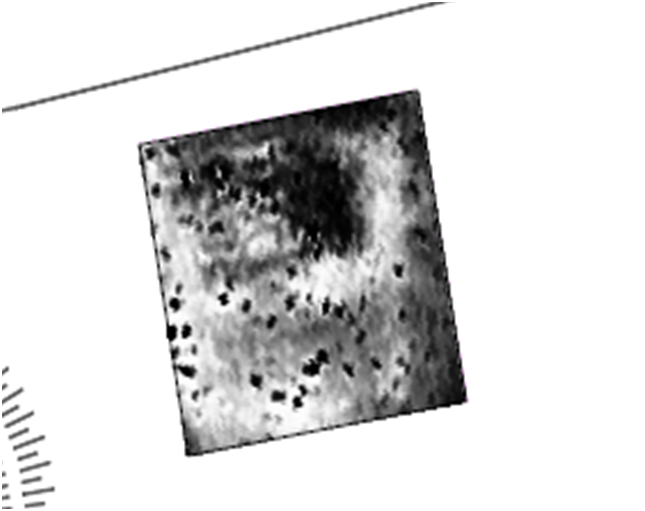 Stone built leper hospital appearing in EMI data (white represents the stone elements)